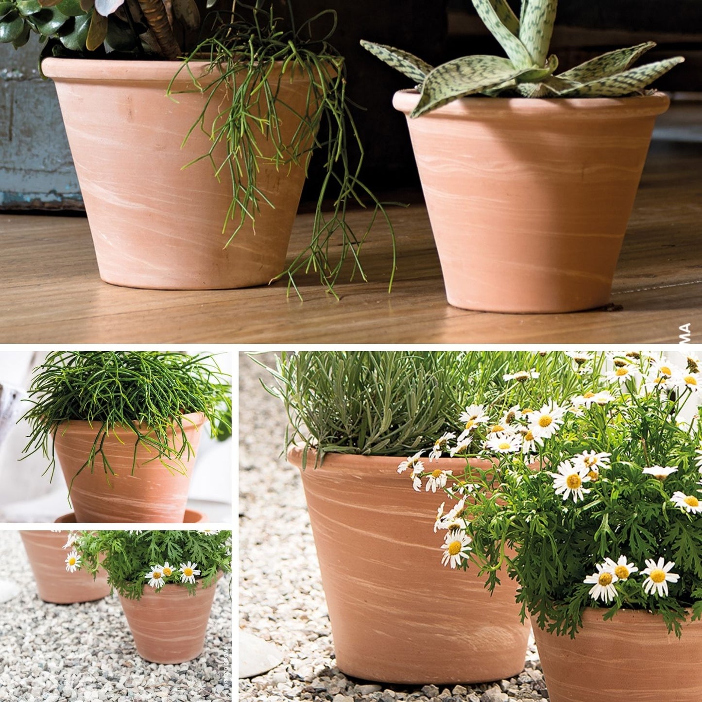 Macetero Vasum Duo Terracota 37