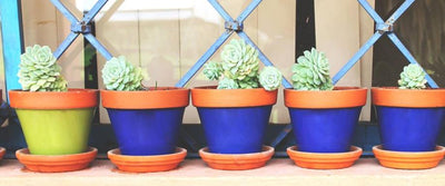 Platos para Macetas