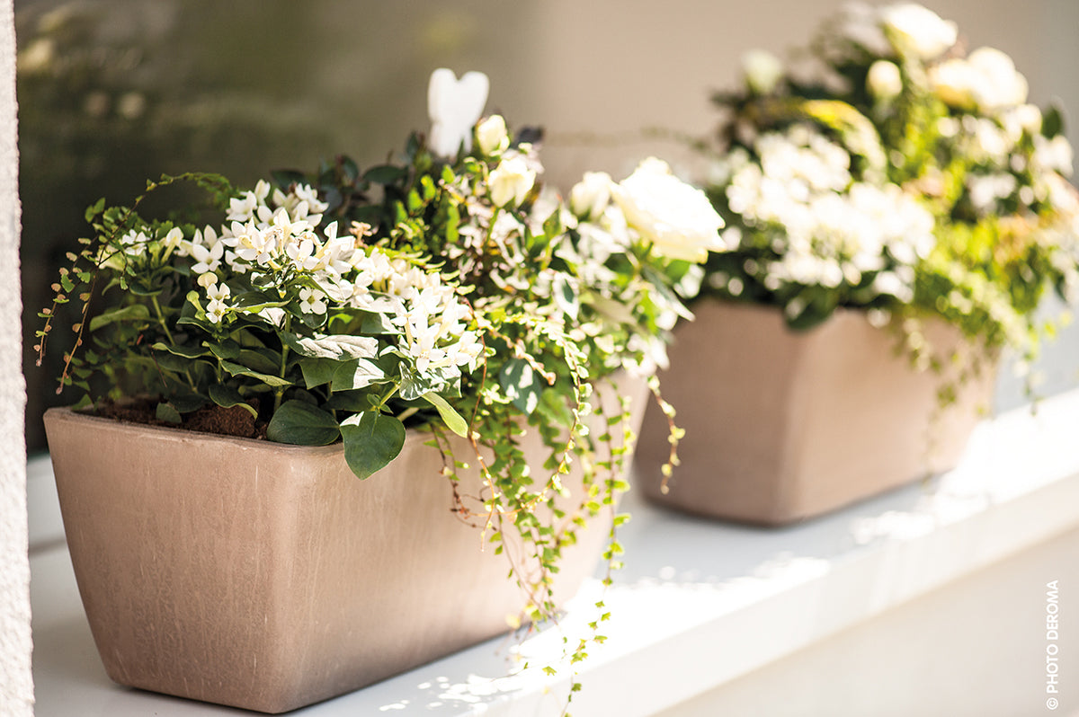 Jardineras