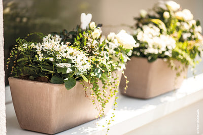 Jardineras