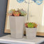 Macetero Cemento Hexagonal 642
