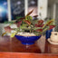 Centro de Mesa Esmaltado Azul-Imperial