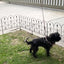 Cerco Metálico Piñón 47x42cm