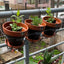 Portamacetero Colgante para Balcon L3