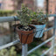 Portamacetero Colgante para Balcon M2