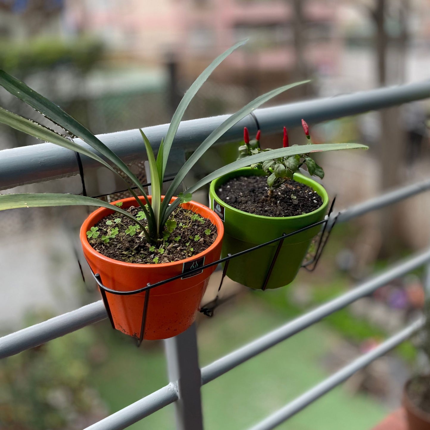 Portamacetero Colgante para Balcon M2