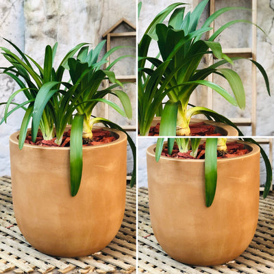 Agapanto Macetero Rotomoldeado 43cm Beige