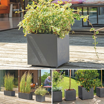 Maceta Cubo Millennium 50
