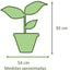 Ficus Mixto Benjamina Macetero Zafiro 24cm Negro