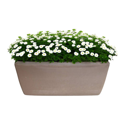 Jardinera Rectangular Garda 42 cm Tarracota Gris