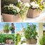 Jardinera Rectangular Garda 42 cm Tarracota Gris