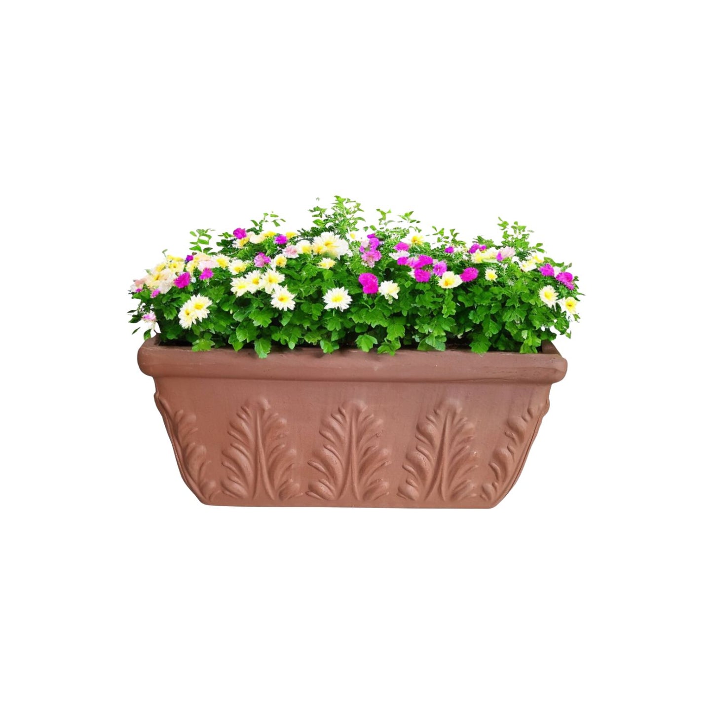 Jardinera Rectangular Romana Terracota 32cm