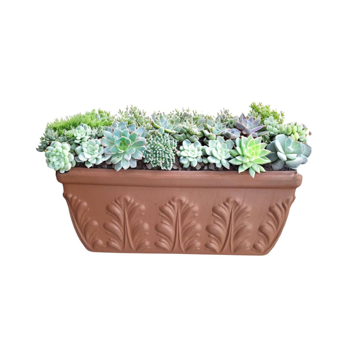 Jardinera Rectangular Romana Terracota 42cm