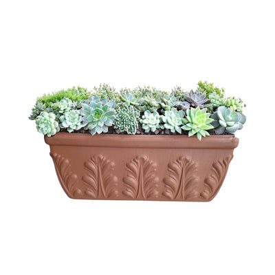 Jardinera Rectangular Romana Terracota 42cm