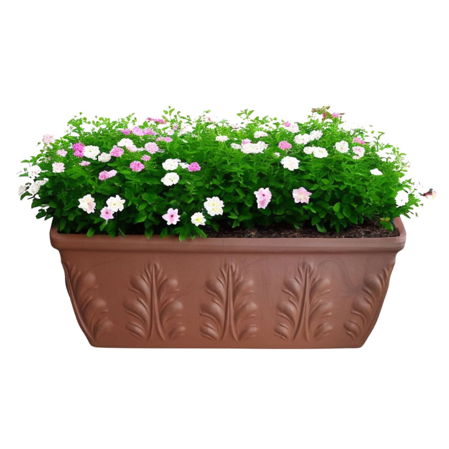 Jardinera Rectangular Romana Terracota 52cm