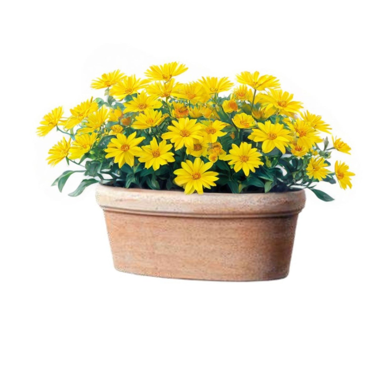 Jardinera Etrusca con Plato 35cm Ovalada Terracota