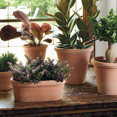 Jardinera Etrusca con Plato 35cm Ovalada Terracota