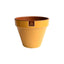 Maceta Kony 15 cm Full Color