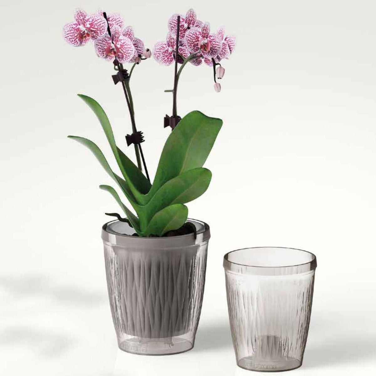 Macetero para Orquideas Luminosa