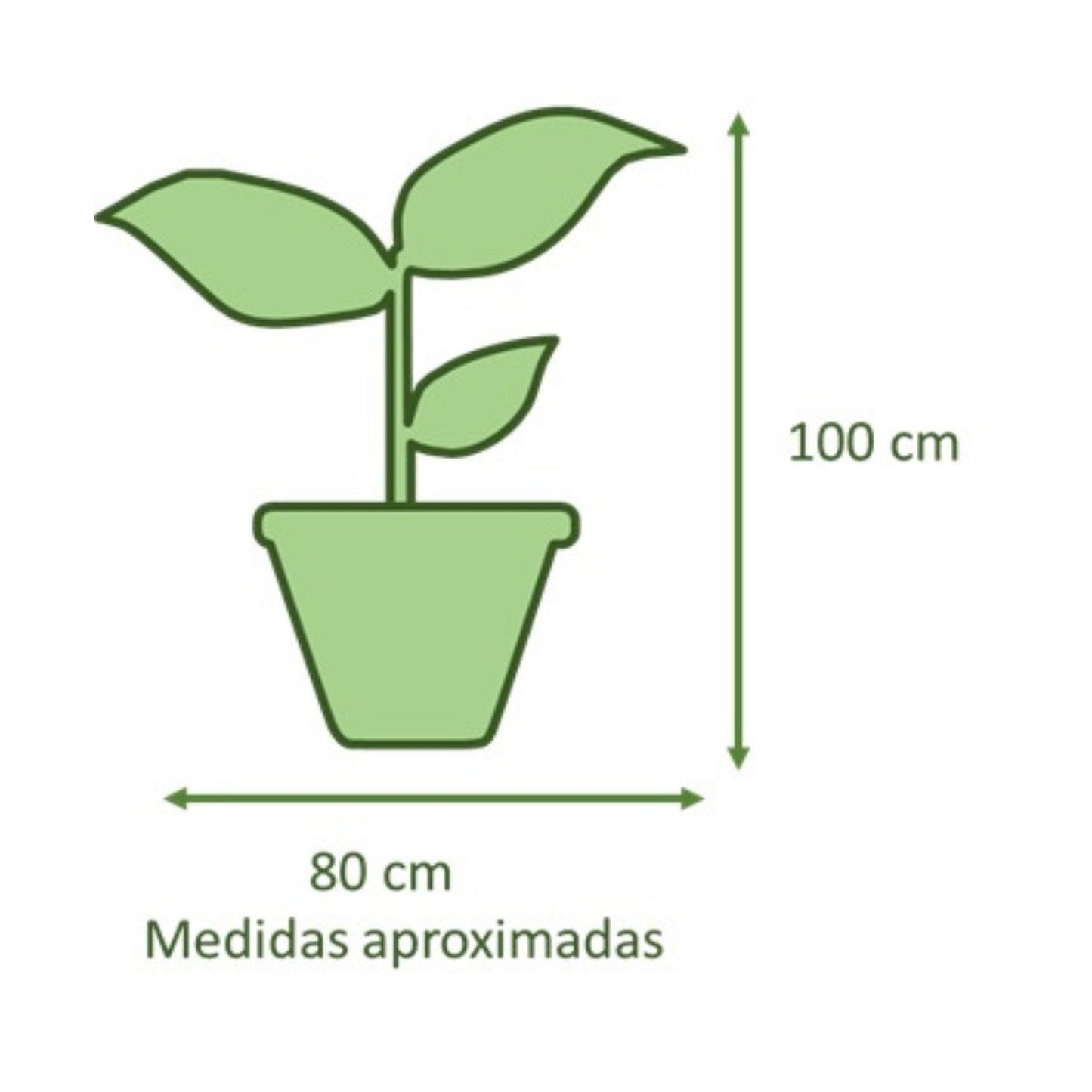 Manto De Eva Con Maceta Rotomoldeado Circca 40cm Gris