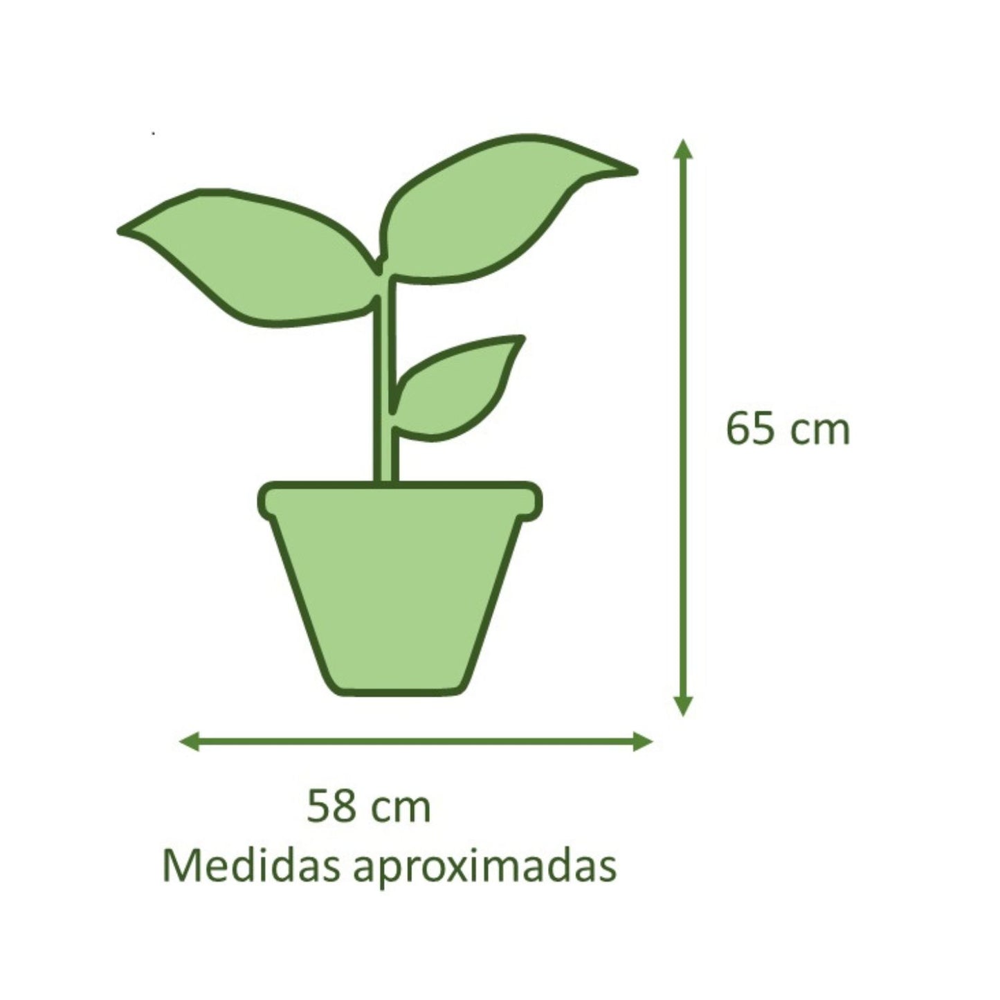 Monstera Macetero Zaia 20cm Rosa