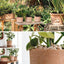 Macetero Luna 20 Terracota