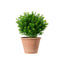 Macetero Vasum Duo Terracota 21