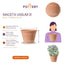 Macetero Vasum Duo Terracota 31