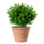 Macetero Vasum Duo Terracota 37