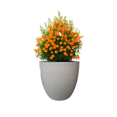 Macetero Woolly 23 Blanco Arena