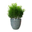 Macetero Woolly 23 Verde Costa