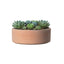 Maceta Luna Baja 26cm Terracota
