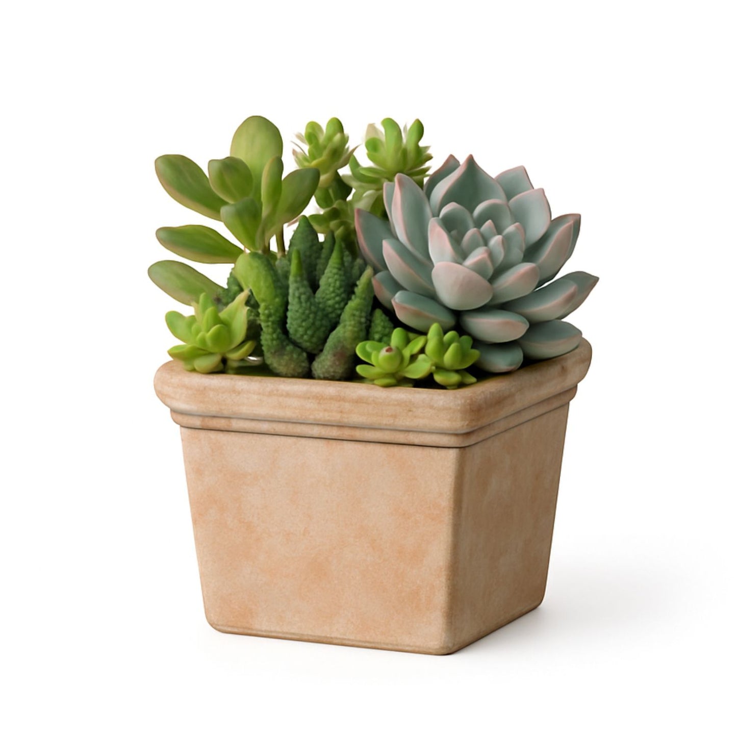 Mini Maceta 11 cm Siena Cuadrada