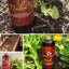 Nuba 1 Lt - Biofertilizante