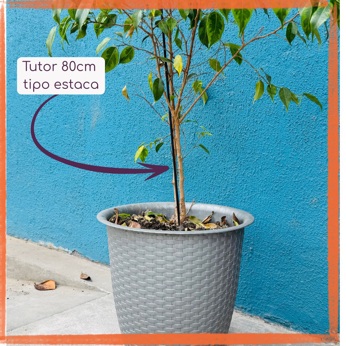 Pack 5 Tutores Plástico 80cm Negro
