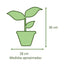 Spathiphyllum Macetero Arcilla Luna 15cm