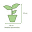 Spathiphyllum con Maceta Kony 19cm Azul