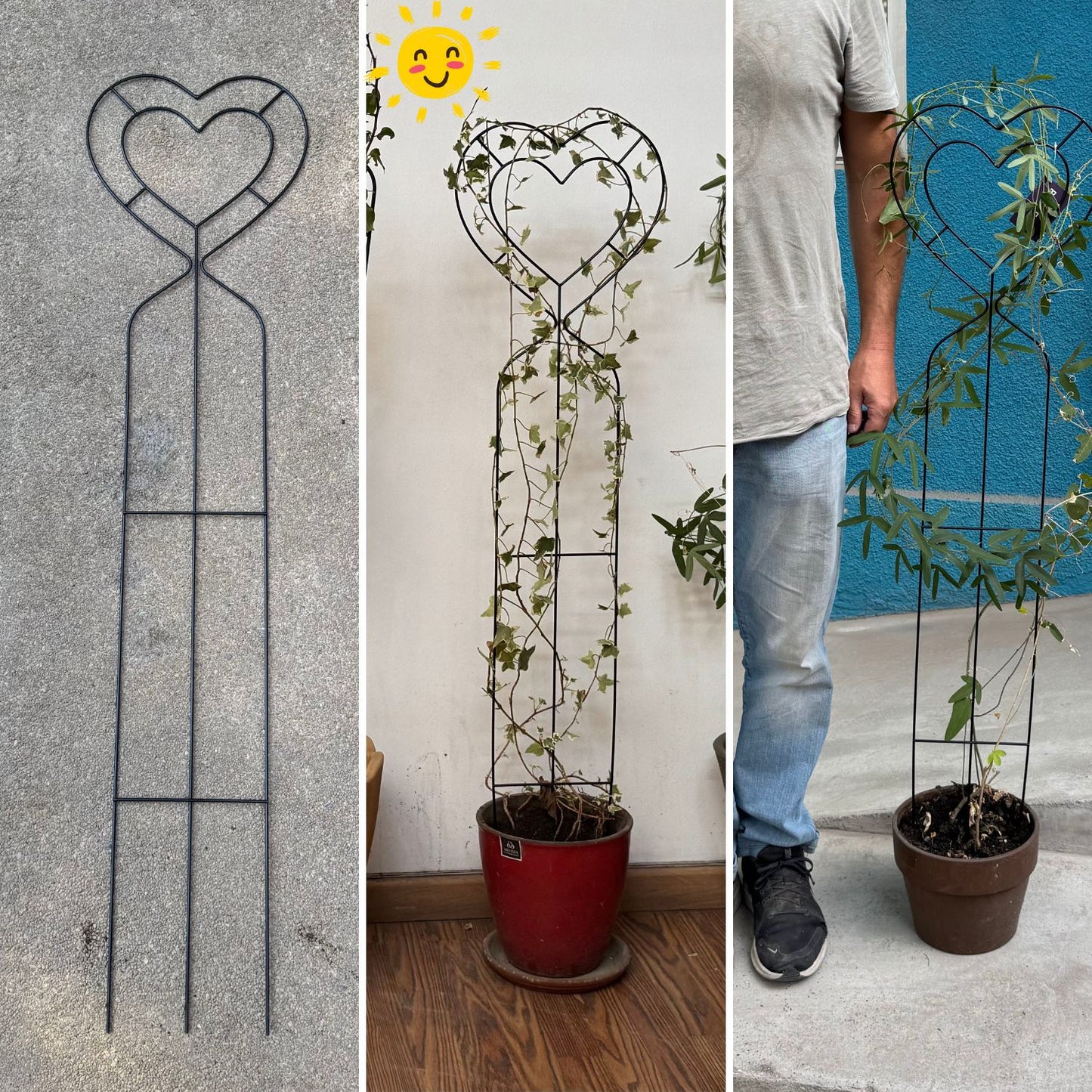 Soporte para Plantas Trepadora Corazón