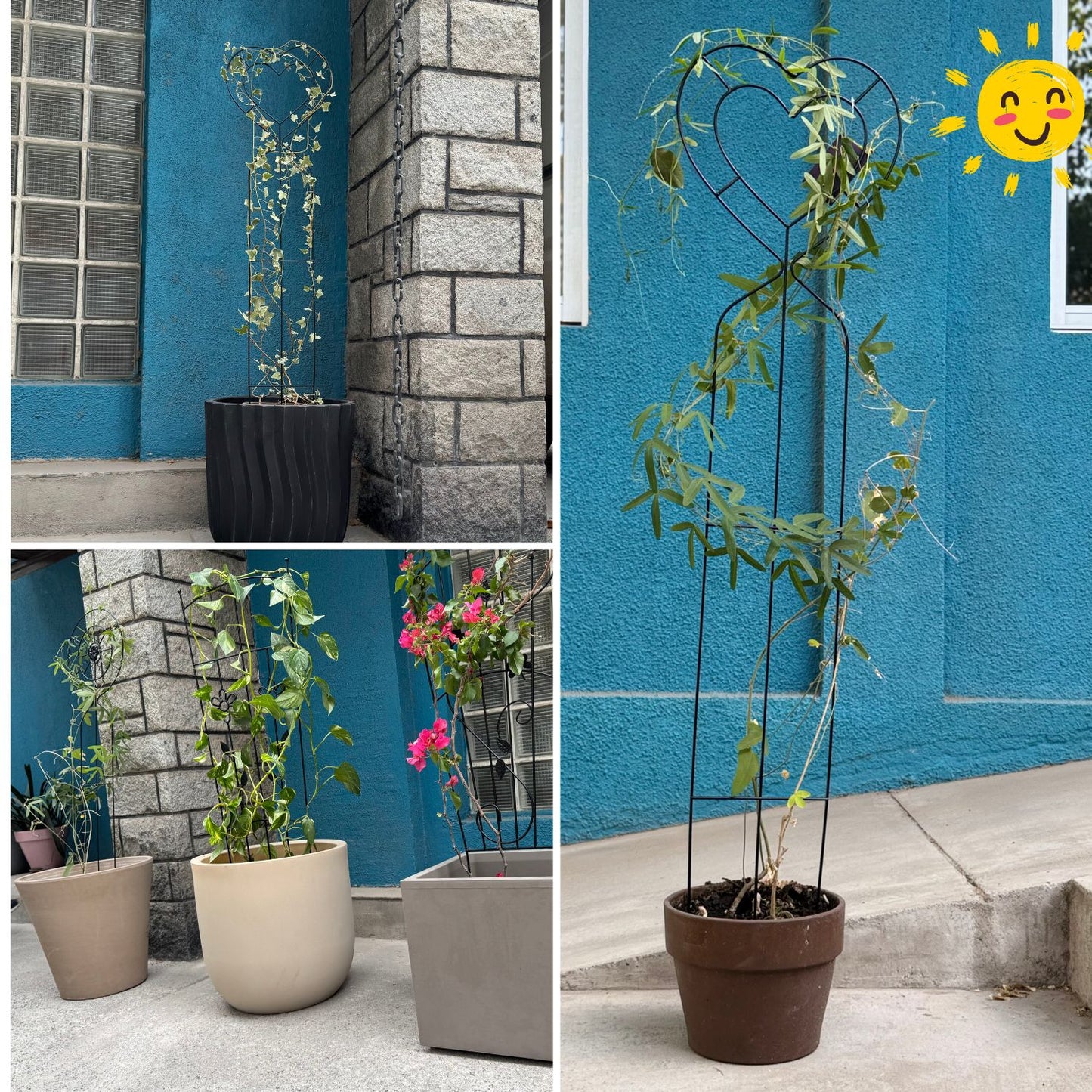 Soporte para Plantas Trepadora Corazón