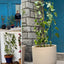 Soporte para Plantas Trepadora Flores