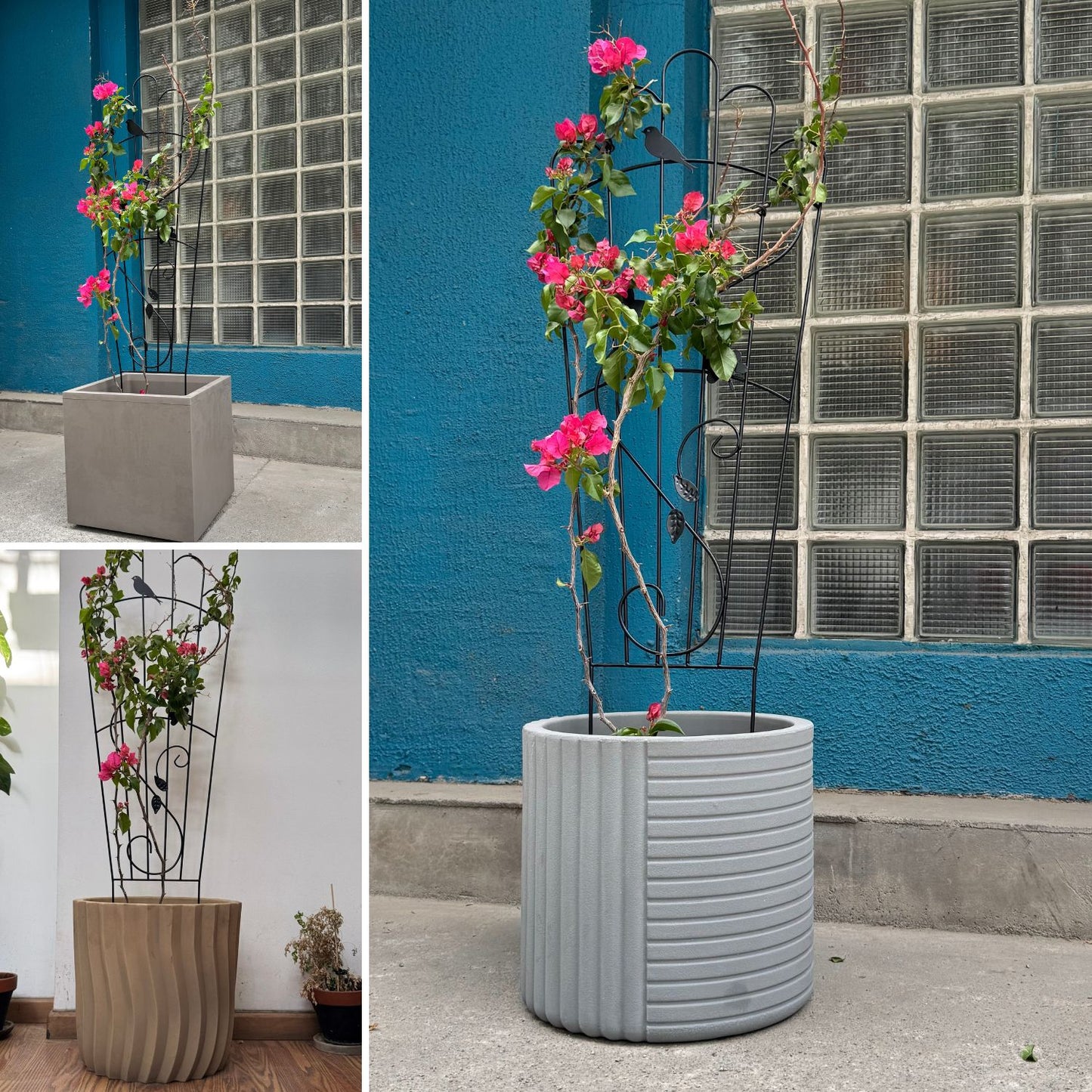 Soporte para Plantas Trepadora Mariposa