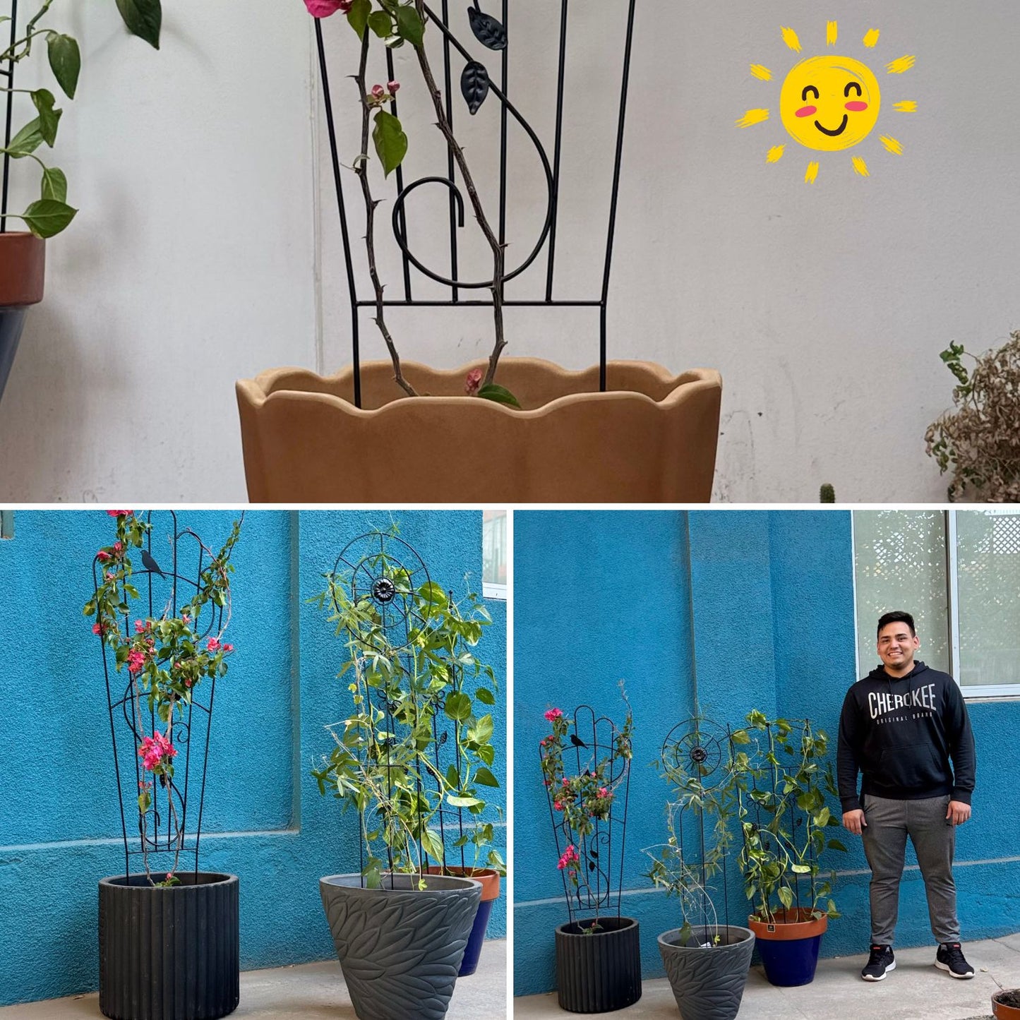 Soporte para Plantas Trepadora Mariposa