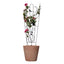 Soporte para Plantas Trepadora Mariposa