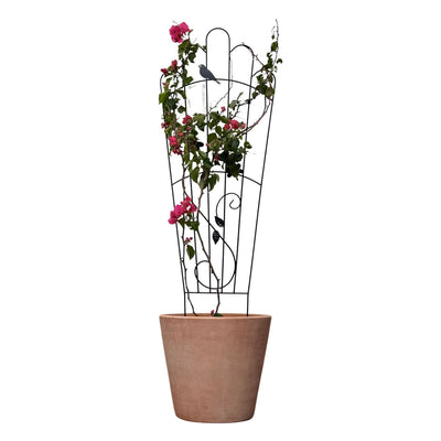 Soporte para Plantas Trepadora Mariposa