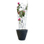 Soporte para Plantas Trepadora Mariposa
