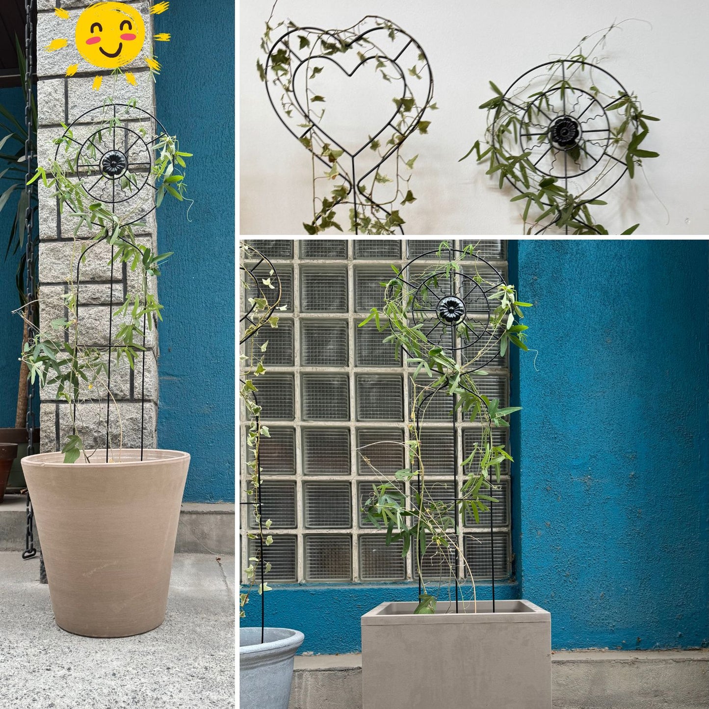 Soporte para Plantas Trepadora Sol