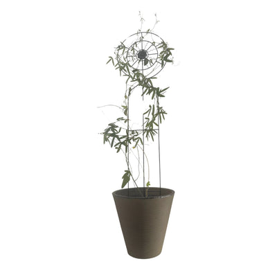 Soporte para Plantas Trepadora Sol