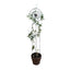 Soporte para Plantas Trepadora Sol