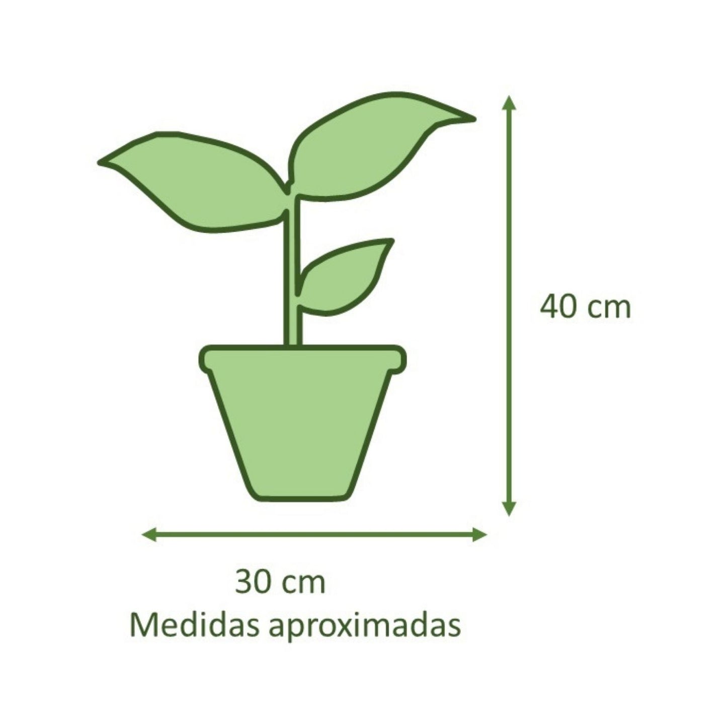 Spathiphyllum Macetero  Zafiro 17cm Beige Claro