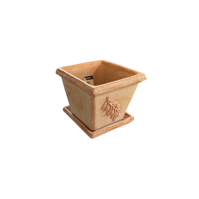 Set Maceta Cuadrada con Relieve Oliva con plato